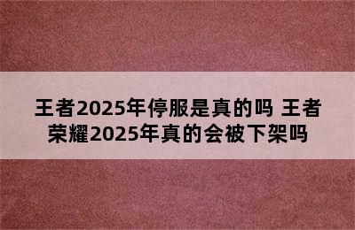 王者2025年停服是真的吗 王者荣耀2025年真的会被下架吗